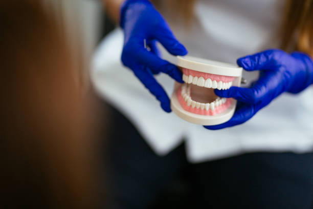 Trusted Curtisville, PA Holistic Dental Care Services Experts
